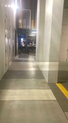 The Tropica (D18), Retail #570918231